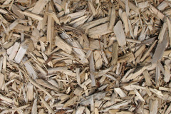 biomass boilers Achterneed